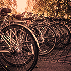 Four Things to Consider Before Expanding Your Products or Services