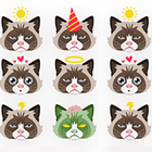 See Grumpy Cat, Beyonce, Hugh Jackman and Other Celebrity Emojis