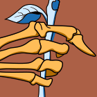 Step by Step Guide To Setting Up Digital Illustrations