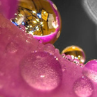 Community Photography Contest Showcase