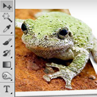 How To Create An Out Of Bounds Image Photoshop Tutorial