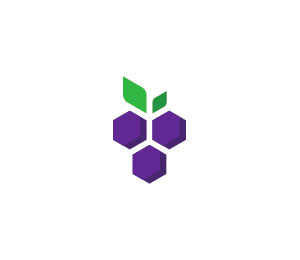 Grapes Logo Design by Town
