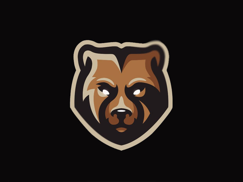 52 Cool Bear Logo Ideas For 2019