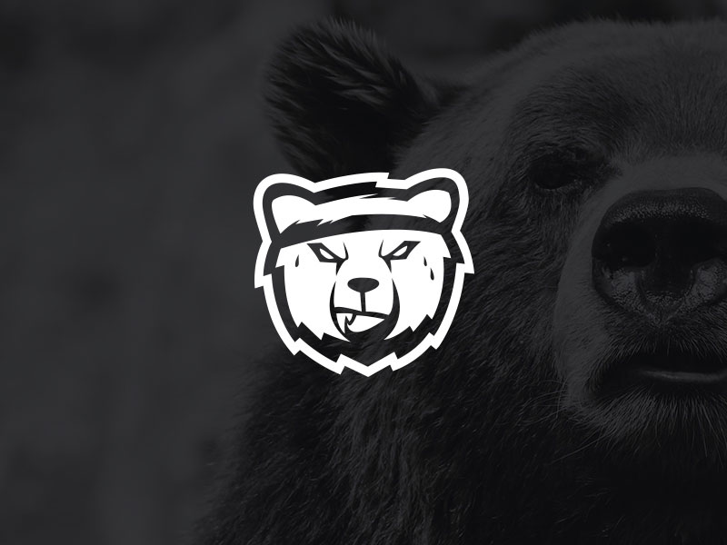 52 Cool Bear Logo Ideas For 2019