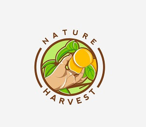 Harvest Logo Design by Jimjemr