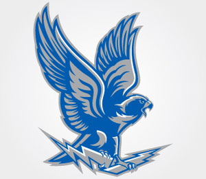 Eagle Logo Design by Brian Gundell