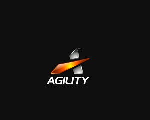 Silver Logo Design by Jimjemr