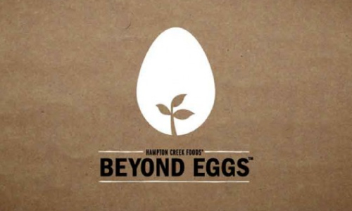 50 Startup Logos from 2013