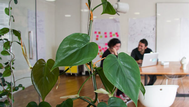 How To Create a Visually Inspiring Workplace